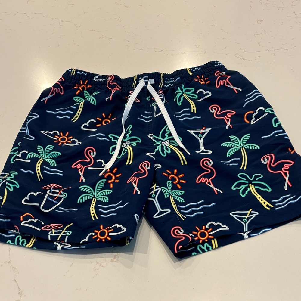 The Neon Lights Chubbies Swim Shorts